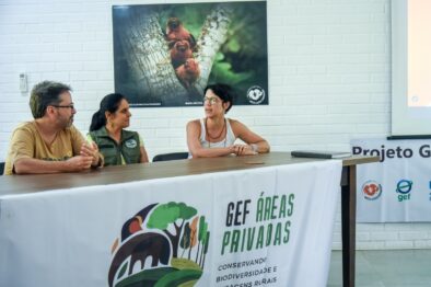 foto lançamento mico