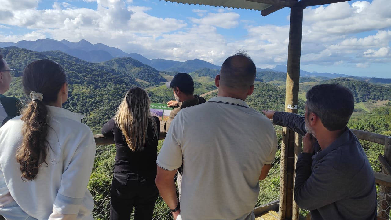 Da torre presente no Parque do Mico, os participantes puderam ver do alto as áreas que voltaram a ser floresta e que ainda serão restauradas - Foto Ariane Marques - AMLD