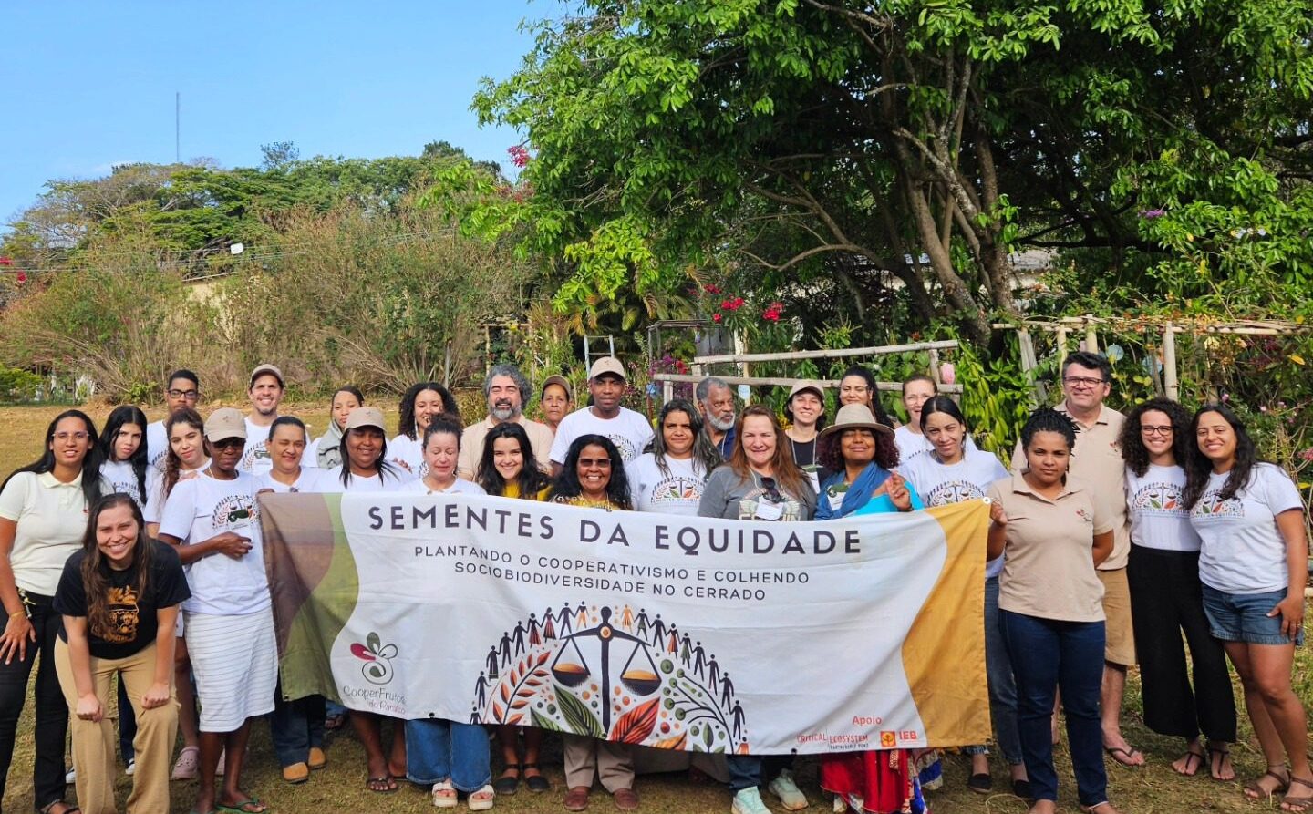 Gestão feminina fortalece cooperativa de frutos do Cerrado com apoio do Projeto GEF Áreas Privadas