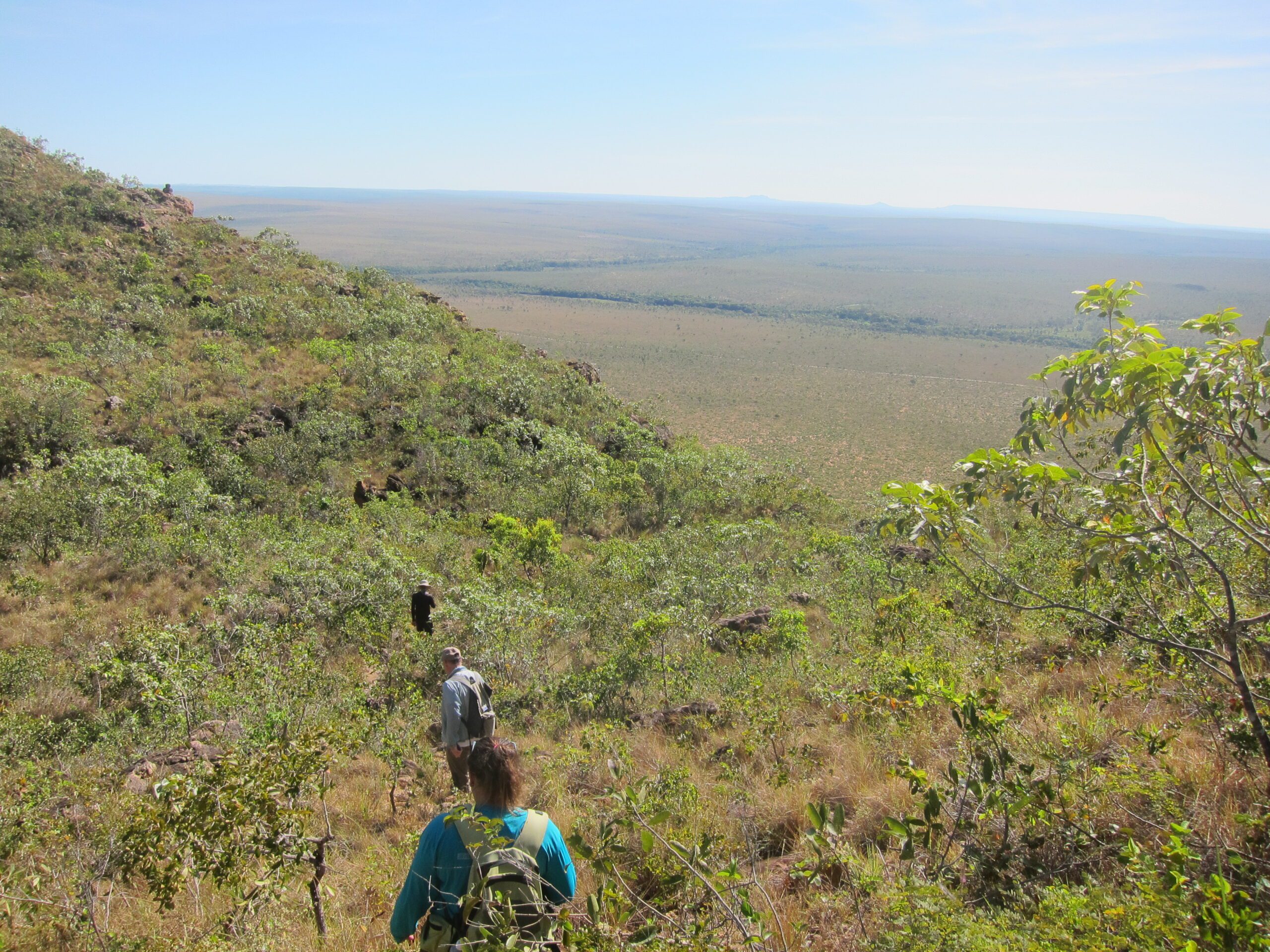 RPPNs ganham protagonismo no debate sobre biodiversidade, clima e geração de renda no Brasil