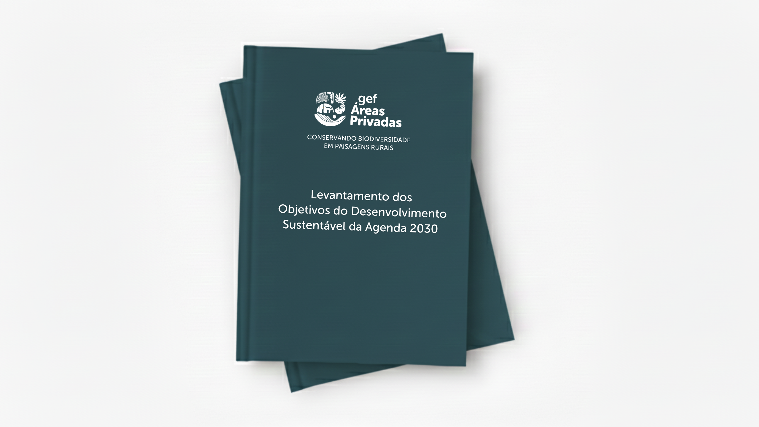 Levantamento dos Objetivos do Desenvolvimento Sustentável (ODS) da Agenda 2030